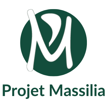 Logo inversé